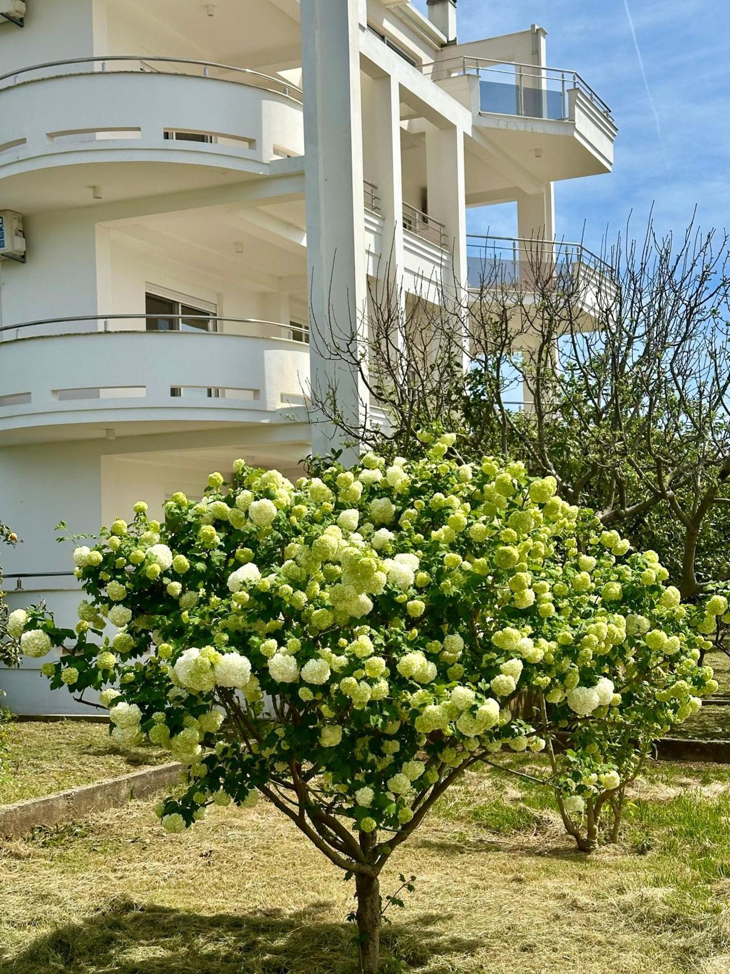 Le Domaine Green Paradise อุลซิน ภายนอก รูปภาพ